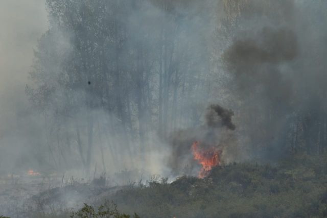 Fotos tomadas por un vecino de la zona